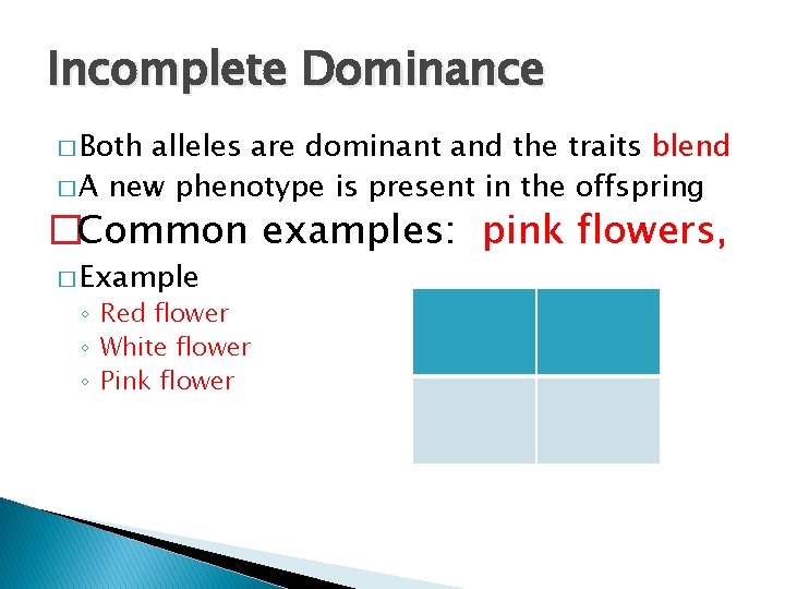 Incomplete Dominance � Both alleles are dominant and the traits blend � A new