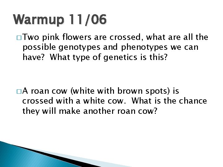 Warmup 11/06 � Two pink flowers are crossed, what are all the possible genotypes