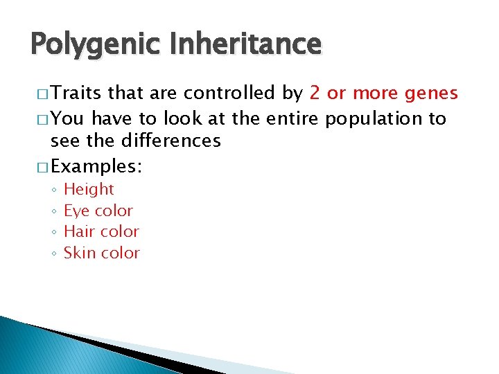 Polygenic Inheritance � Traits that are controlled by 2 or more genes � You