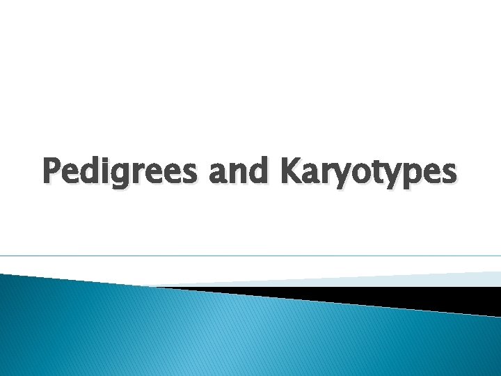 Pedigrees and Karyotypes 