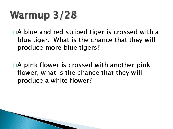 Warmup 3/28 �A blue and red striped tiger is crossed with a blue tiger.
