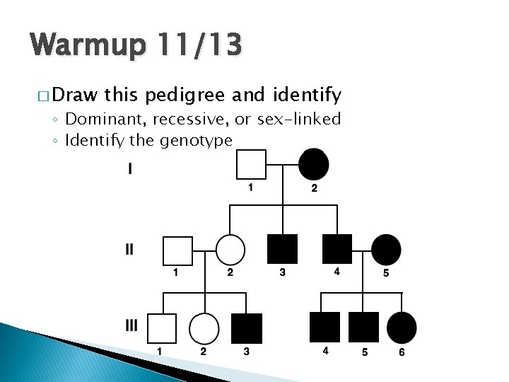Warmup 11/13 � Draw this pedigree and identify ◦ Dominant, recessive, or sex-linked ◦