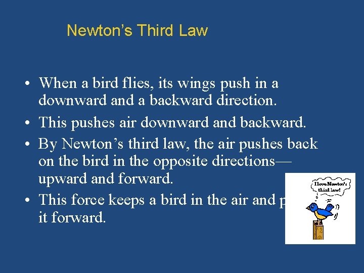 Newton’s Third Law • When a bird flies, its wings push in a downward