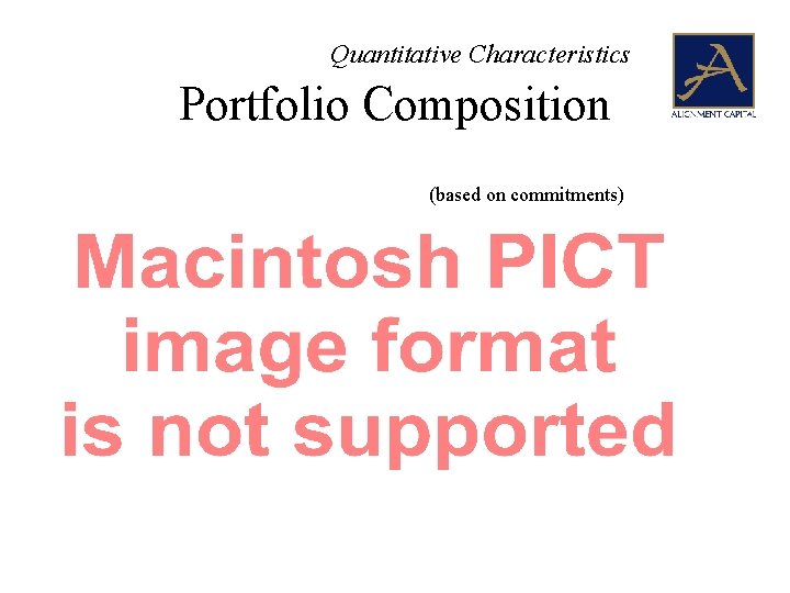 Quantitative Characteristics Portfolio Composition (based on commitments) 