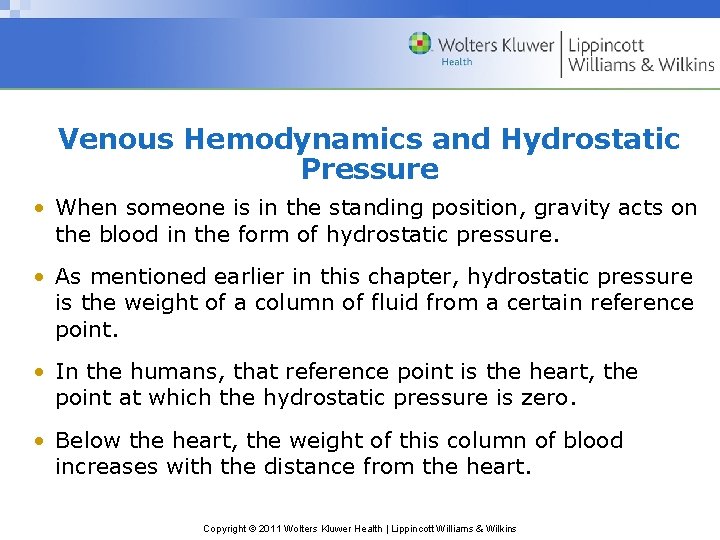 Venous Hemodynamics and Hydrostatic Pressure • When someone is in the standing position, gravity