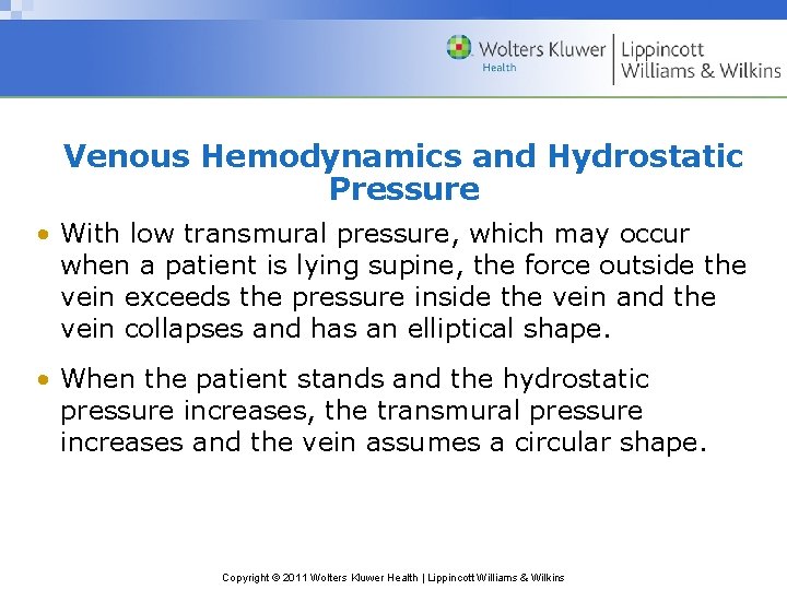 Venous Hemodynamics and Hydrostatic Pressure • With low transmural pressure, which may occur when