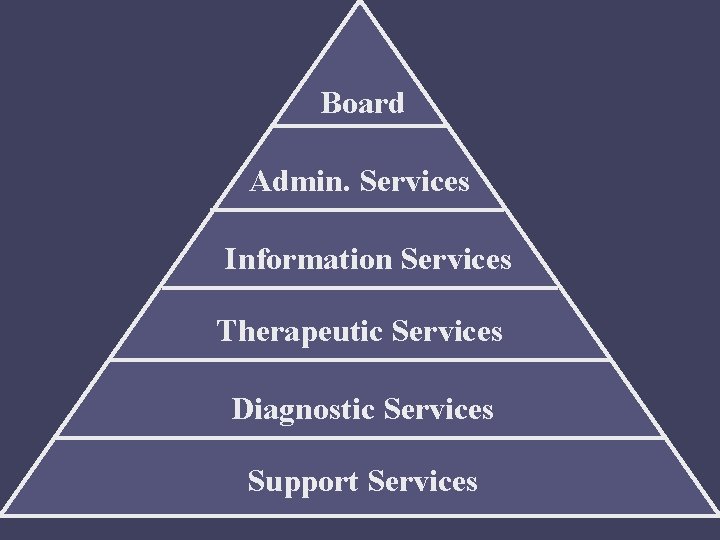 Board Admin. Services Information Services Therapeutic Services Diagnostic Services Support Services 