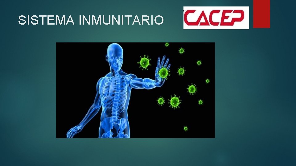 SISTEMA INMUNITARIO 