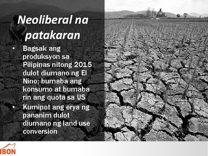 Neoliberal na patakaran • • Bagsak ang produksyon sa Pilipinas nitong 2015 dulot diumano