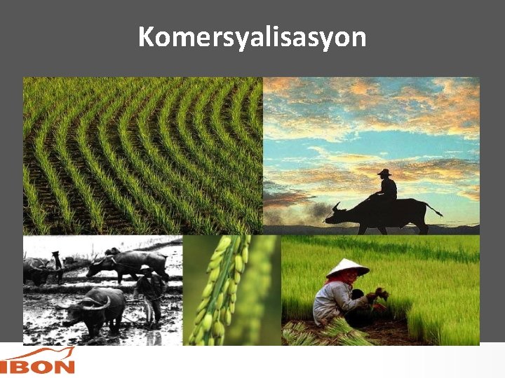 Komersyalisasyon 