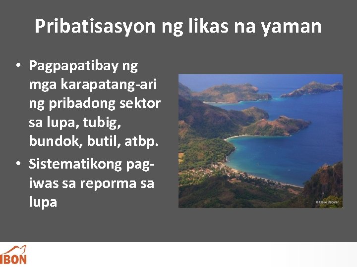 Pribatisasyon ng likas na yaman • Pagpapatibay ng mga karapatang-ari ng pribadong sektor sa