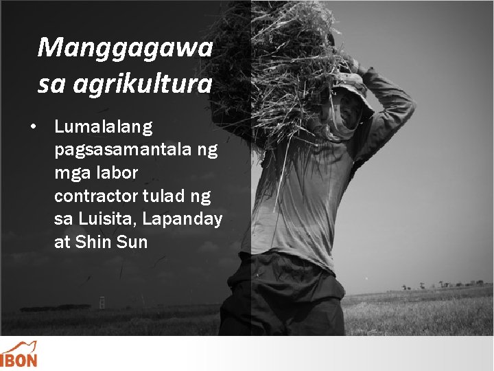 Manggagawa sa agrikultura • Lumalalang pagsasamantala ng mga labor contractor tulad ng sa Luisita,