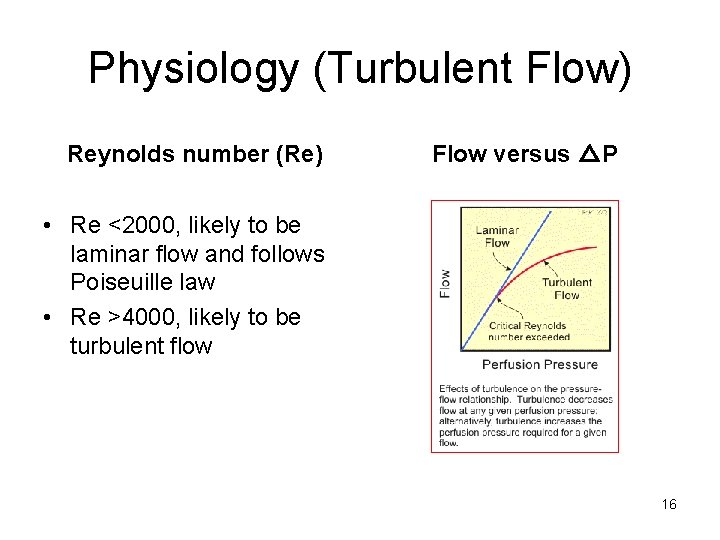 Physiology (Turbulent Flow) Reynolds number (Re) Flow versus △P • Re <2000, likely to