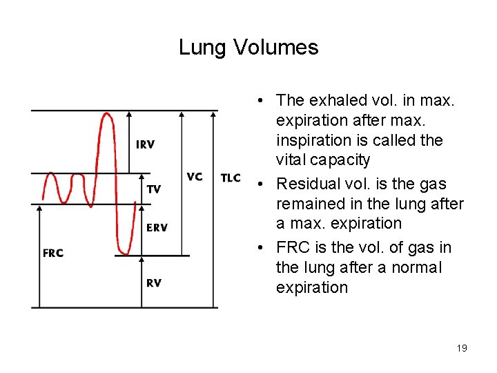 Lung Volumes • The exhaled vol. in max. expiration after max. inspiration is called