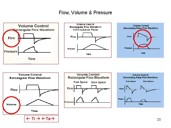 Flow, Volume & Pressure Ti Te 20 