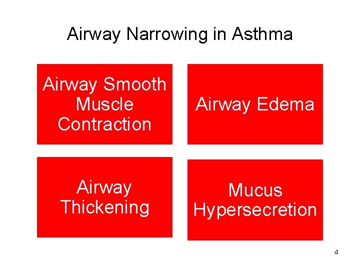 Airway Narrowing in Asthma Airway Smooth Muscle Contraction Airway Edema Airway Thickening Mucus Hypersecretion