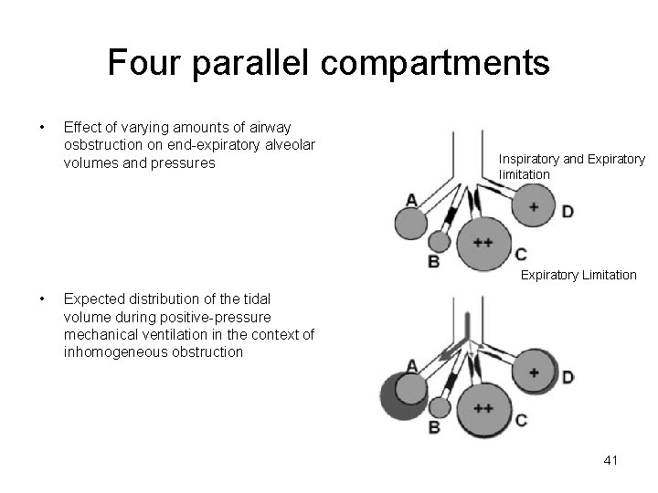 Four parallel compartments • Effect of varying amounts of airway osbstruction on end-expiratory alveolar