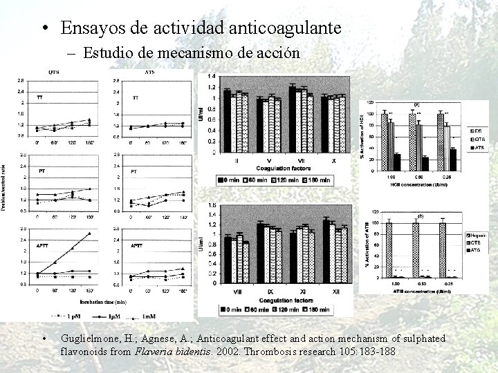  • Ensayos de actividad anticoagulante – Estudio de mecanismo de acción • Guglielmone,