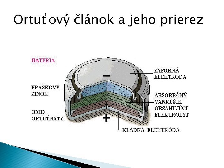 Ortuťový článok a jeho prierez 