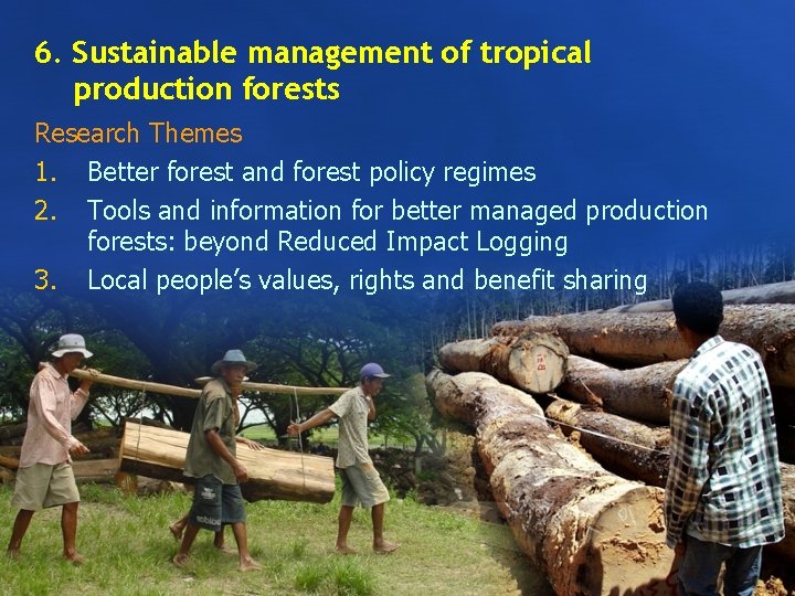 6. Sustainable management of tropical production forests Research Themes 1. Better forest and forest