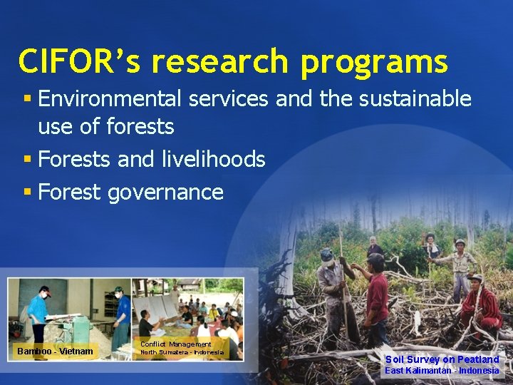 CIFOR’s research programs § Environmental services and the sustainable use of forests § Forests