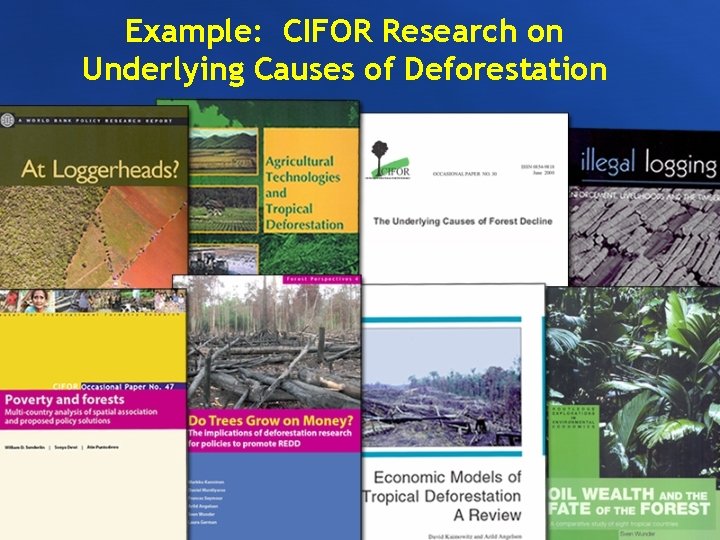 Example: CIFOR Research on Underlying Causes of Deforestation 