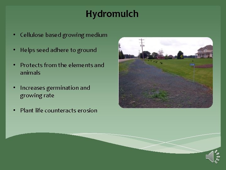 Hydromulch • Cellulose based growing medium • Helps seed adhere to ground • Protects