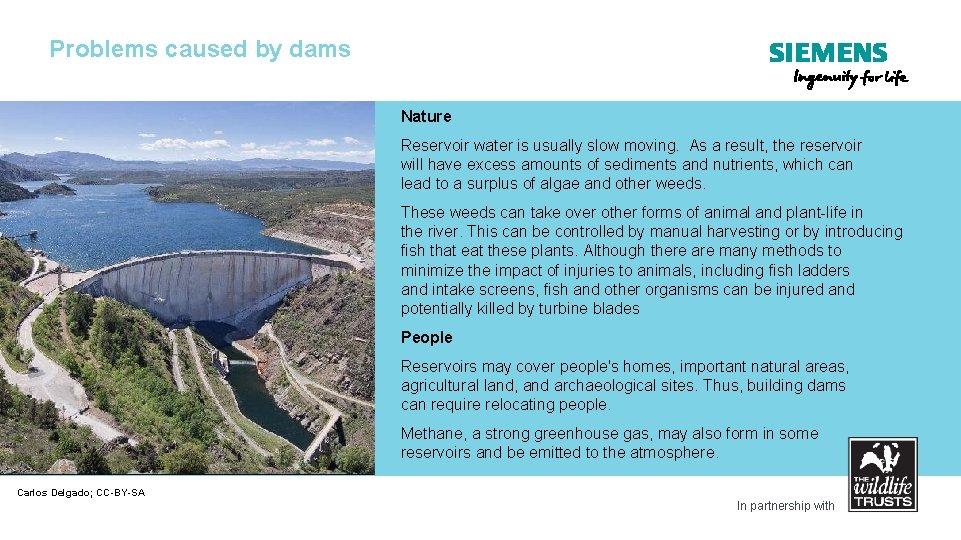 Problems caused by dams Nature Reservoir water is usually slow moving. As a result,