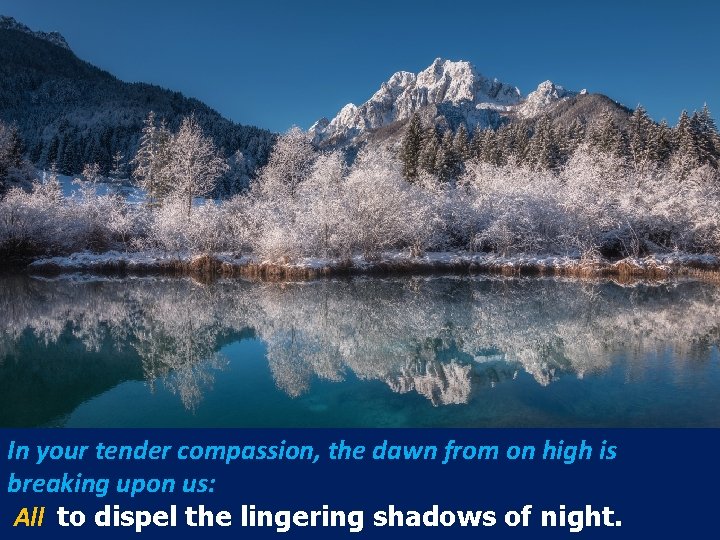 In your tender compassion, the dawn from on high is breaking upon us: All