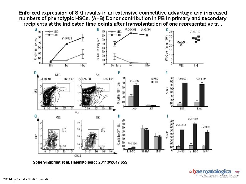 Enforced expression of SKI results in an extensive competitive advantage and increased numbers of