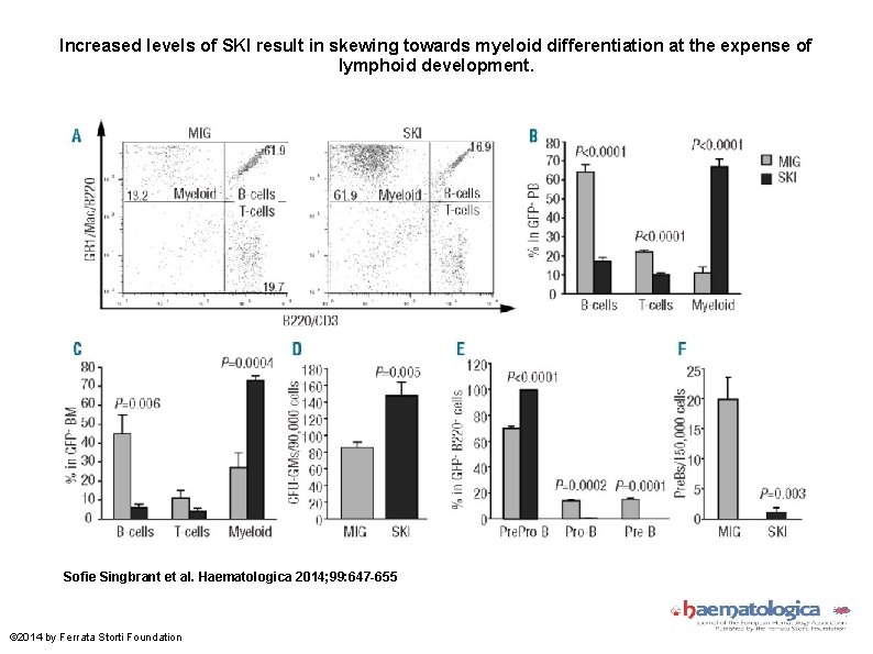 Increased levels of SKI result in skewing towards myeloid differentiation at the expense of