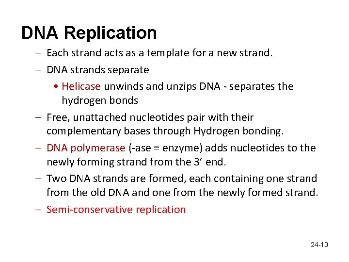 DNA Replication – Each strand acts as a template for a new strand. –