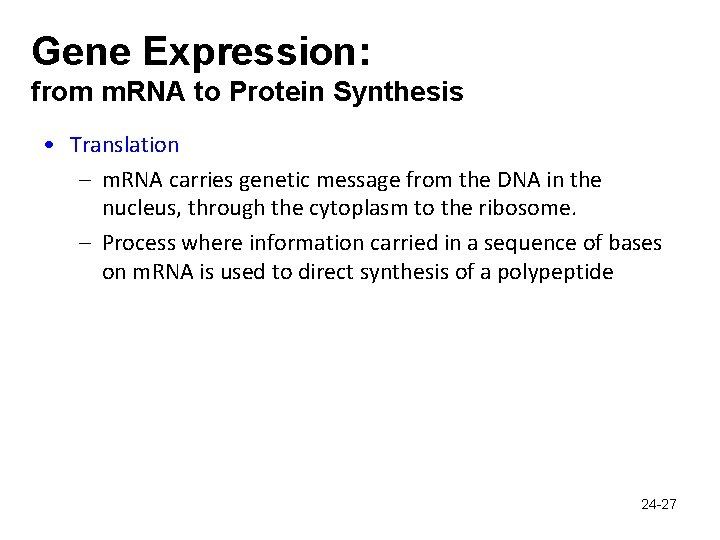 Gene Expression: from m. RNA to Protein Synthesis • Translation – m. RNA carries