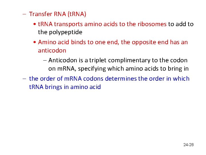 – Transfer RNA (t. RNA) • t. RNA transports amino acids to the ribosomes