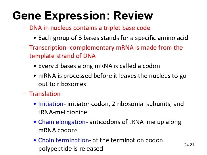 Gene Expression: Review – DNA in nucleus contains a triplet base code • Each