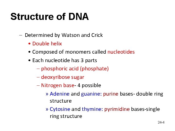 Structure of DNA – Determined by Watson and Crick • Double helix • Composed