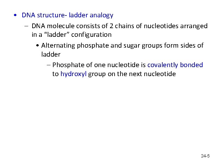  • DNA structure- ladder analogy – DNA molecule consists of 2 chains of