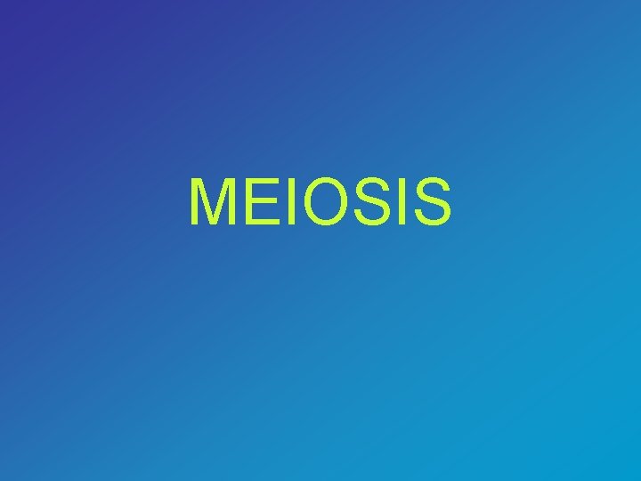 MEIOSIS 