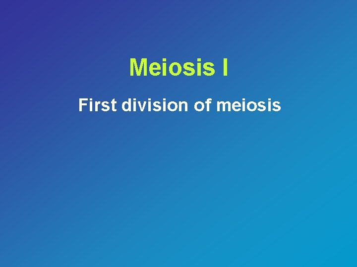 Meiosis I First division of meiosis 