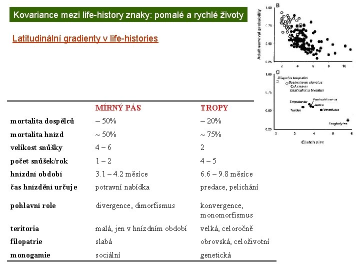 Kovariance mezi life-history znaky: pomalé a rychlé životy Latitudinální gradienty v life-histories MÍRNÝ PÁS