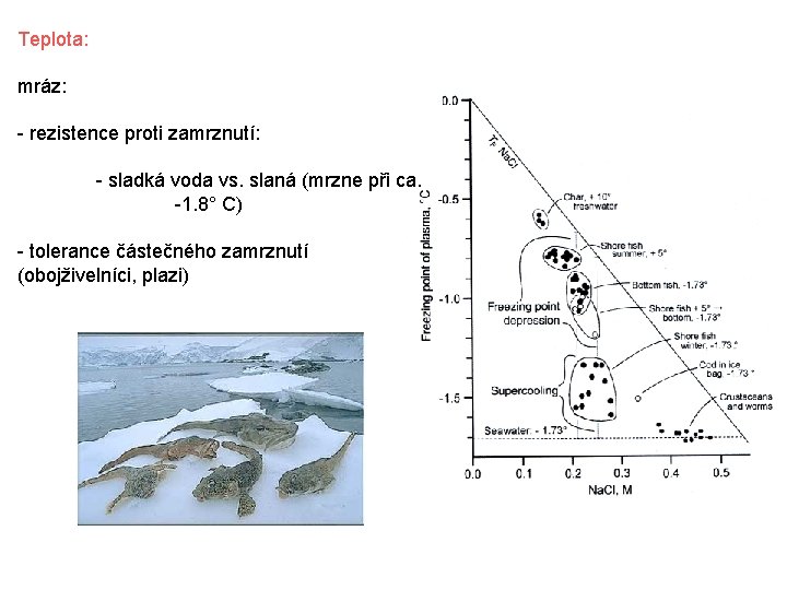 Teplota: mráz: - rezistence proti zamrznutí: - sladká voda vs. slaná (mrzne při ca.