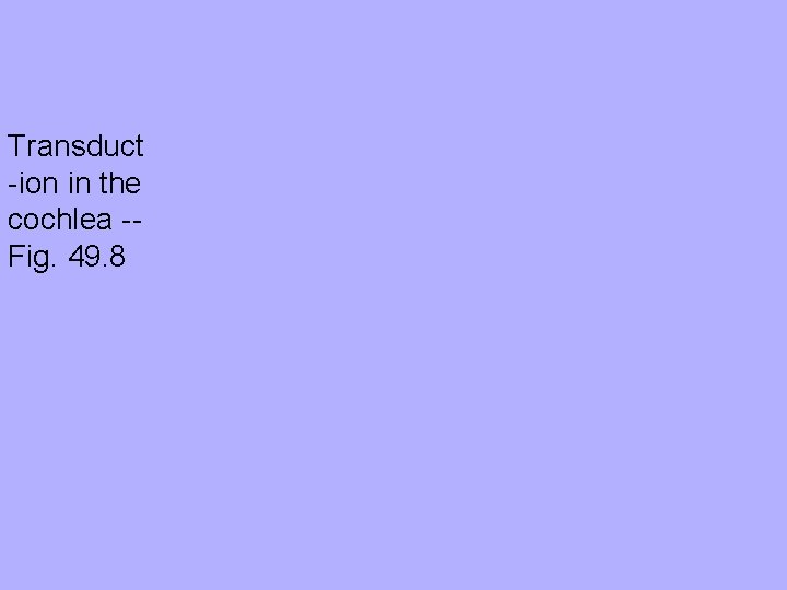 Transduct -ion in the cochlea -Fig. 49. 8 