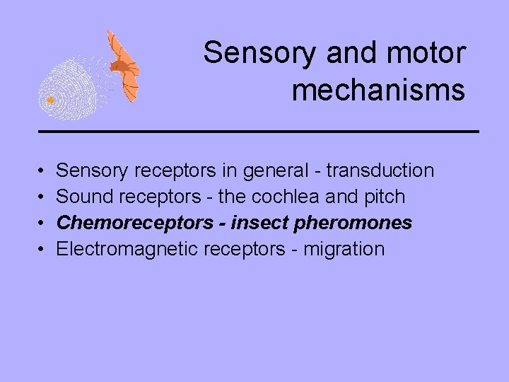 Sensory and motor mechanisms • • Sensory receptors in general - transduction Sound receptors