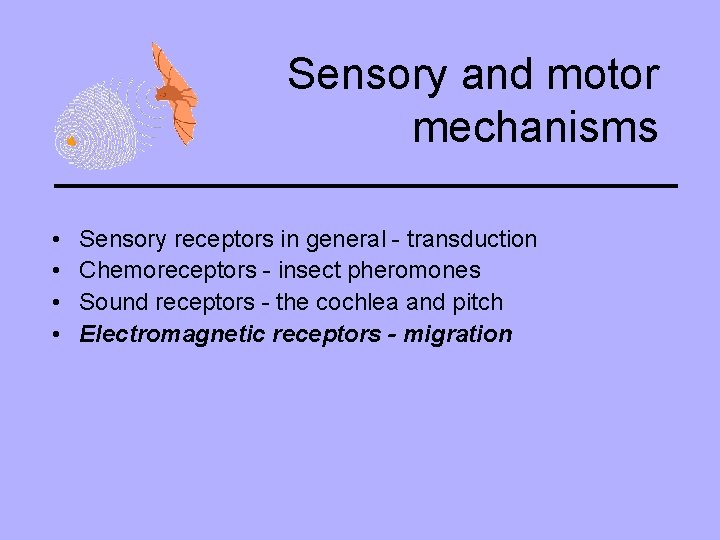 Sensory and motor mechanisms • • Sensory receptors in general - transduction Chemoreceptors -