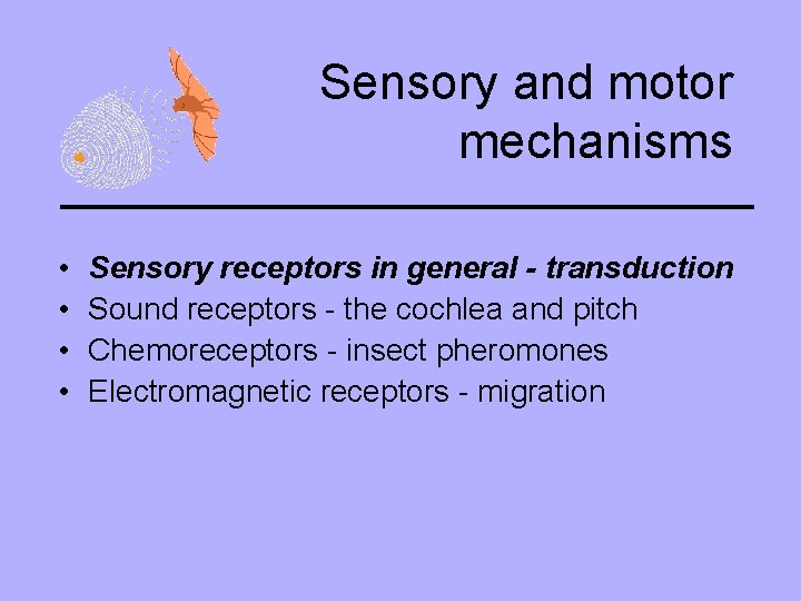 Sensory and motor mechanisms • • Sensory receptors in general - transduction Sound receptors