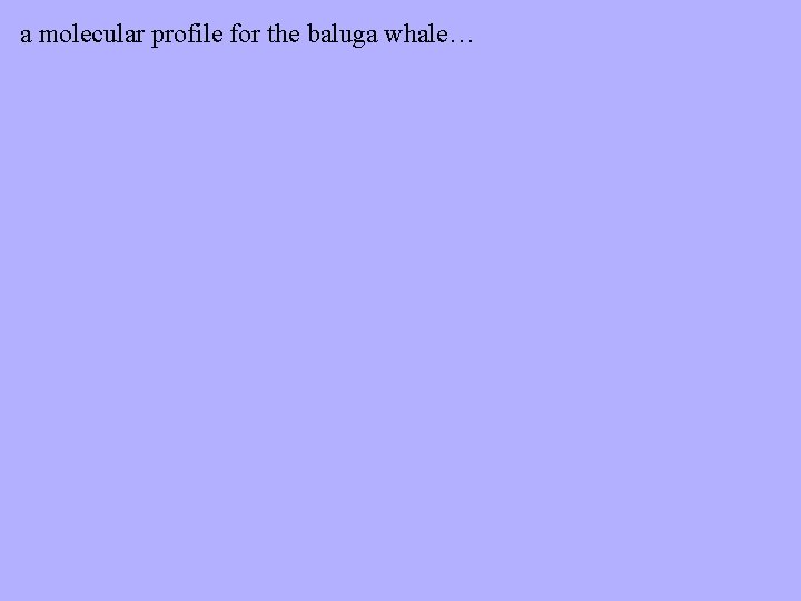 a molecular profile for the baluga whale… 