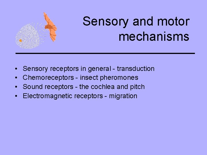 Sensory and motor mechanisms • • Sensory receptors in general - transduction Chemoreceptors -