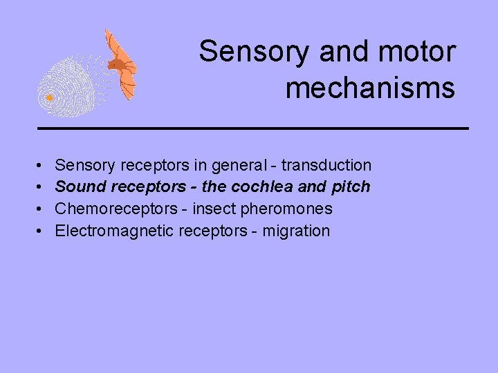 Sensory and motor mechanisms • • Sensory receptors in general - transduction Sound receptors