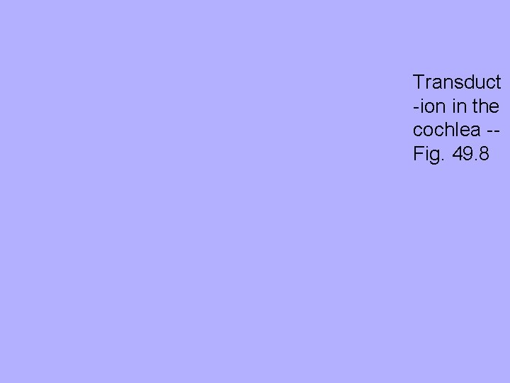 Transduct -ion in the cochlea -Fig. 49. 8 