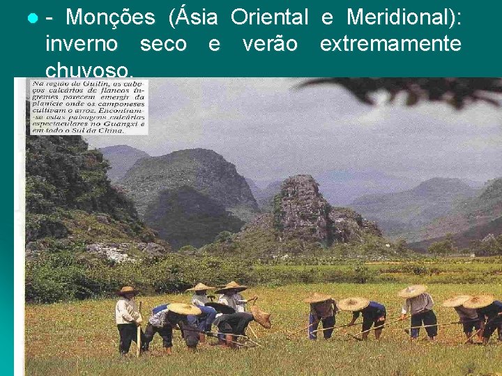 l - Monções (Ásia Oriental e Meridional): inverno seco e verão extremamente chuvoso. 